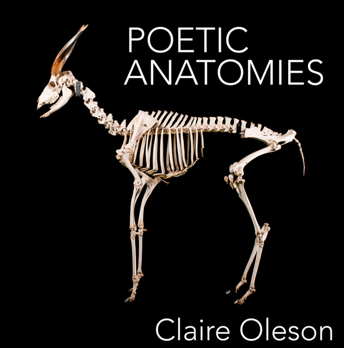 Poetic Anatomies by Claire Oleson
