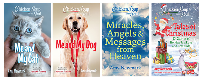 Chicken Soup for the Soul Books - Regular Themes