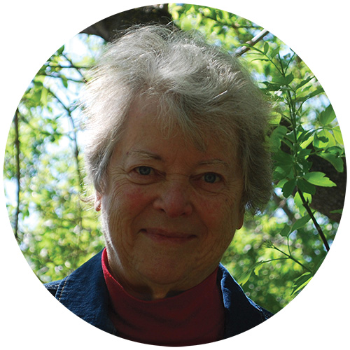 Sally Sedgwick