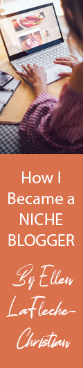 How I Became a Niche Blogger