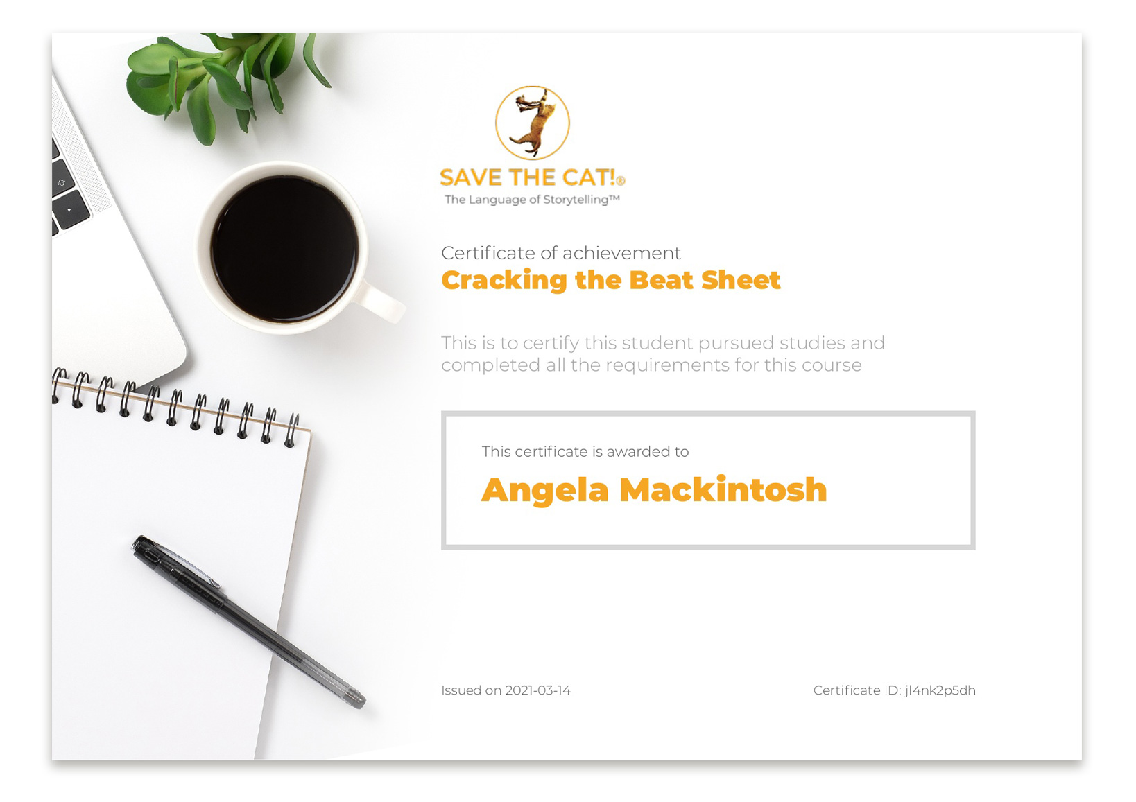 Cracking the Beat Sheet Course Certificate