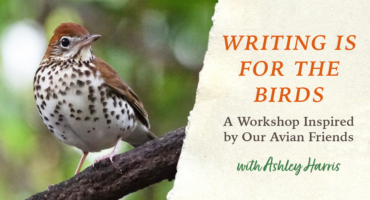 Writing is for the Birds - Live Zoom with Ashley Harris